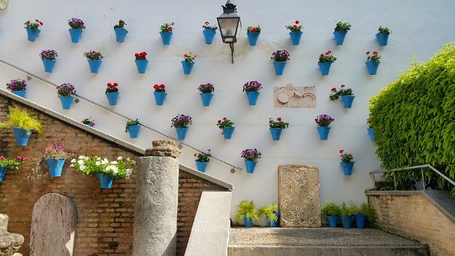 Visita guiada por los Patios de Córdoba