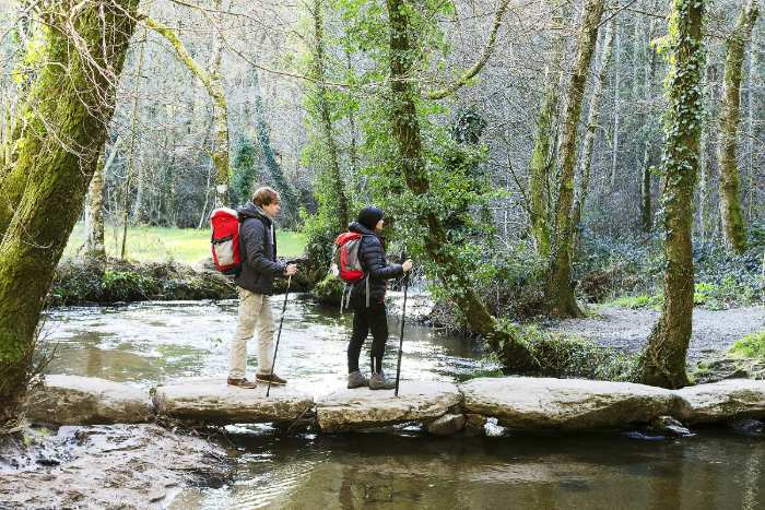 camino de santiago frances
