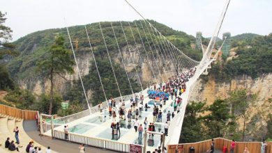 zhangjiajie bridge